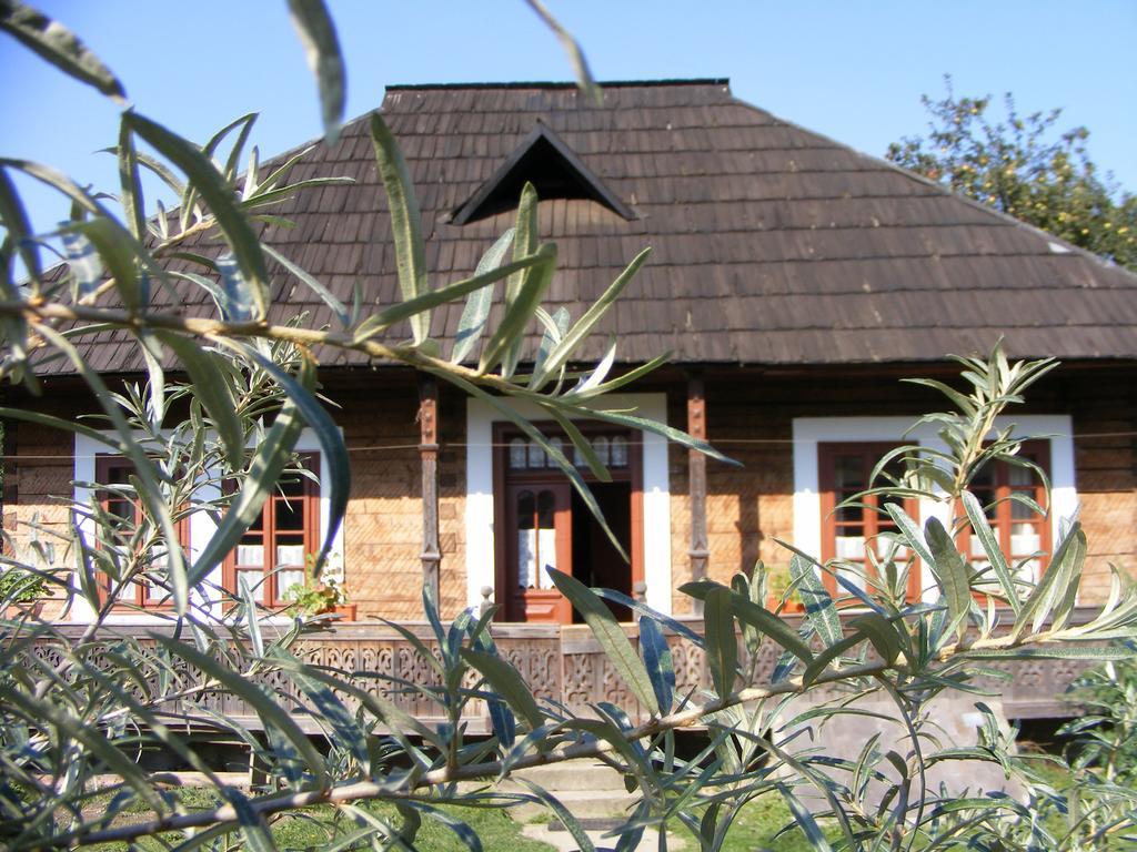 Casa Bunicii Din Bucovina Villa Vama  Exterior photo